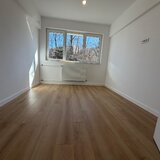 Dristor langa Parc IOR - Park Lake